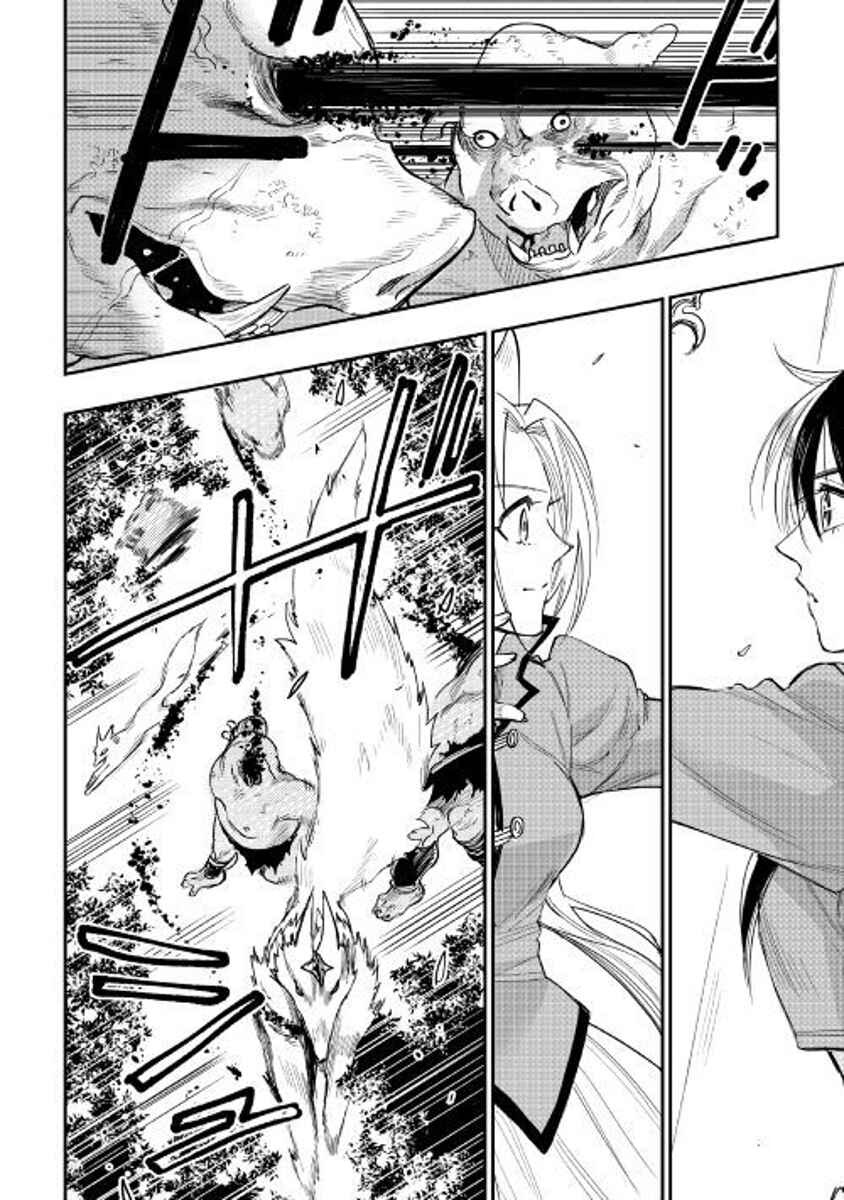 Page 18 Chapter 35 The New Gate