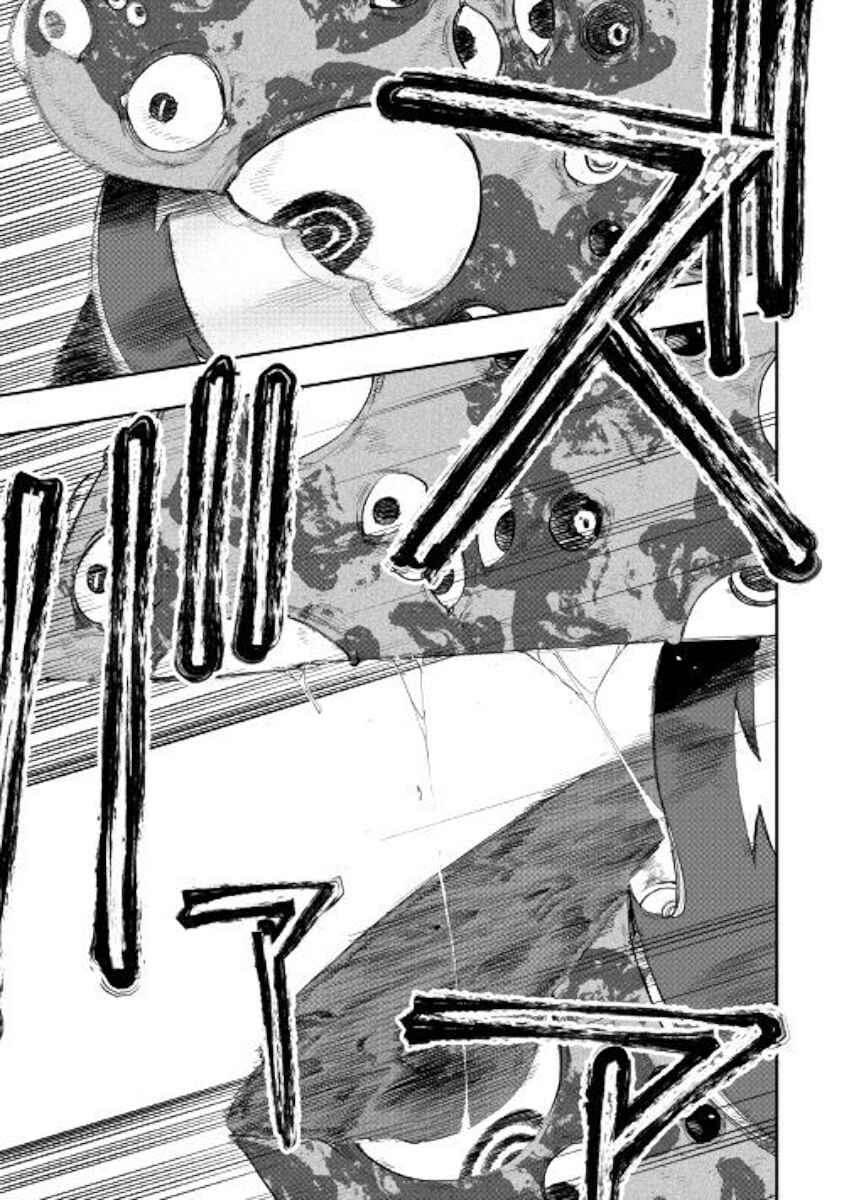 Page 17 Chapter 56 The New Gate