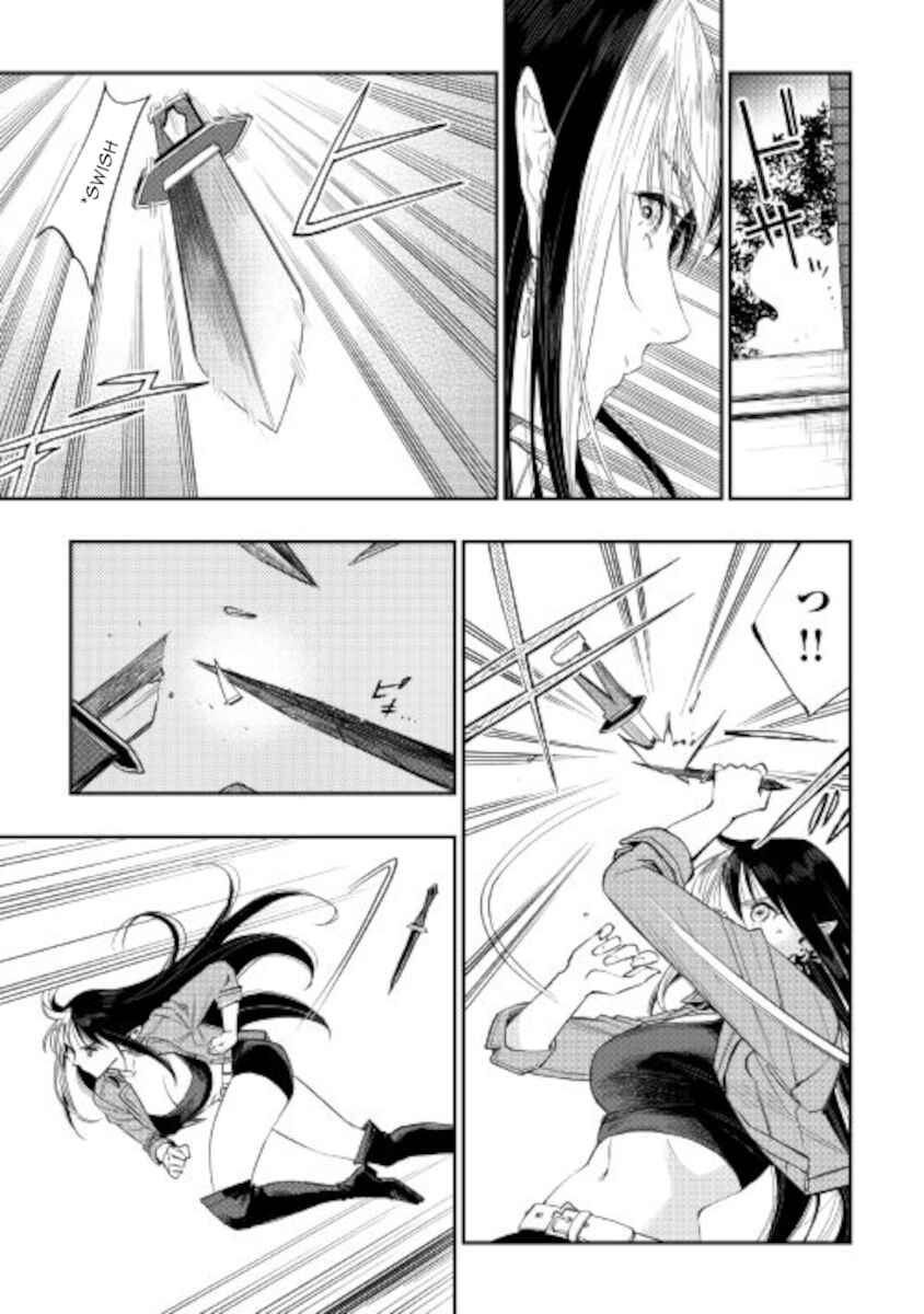 Page 15 Chapter 70 The New Gate