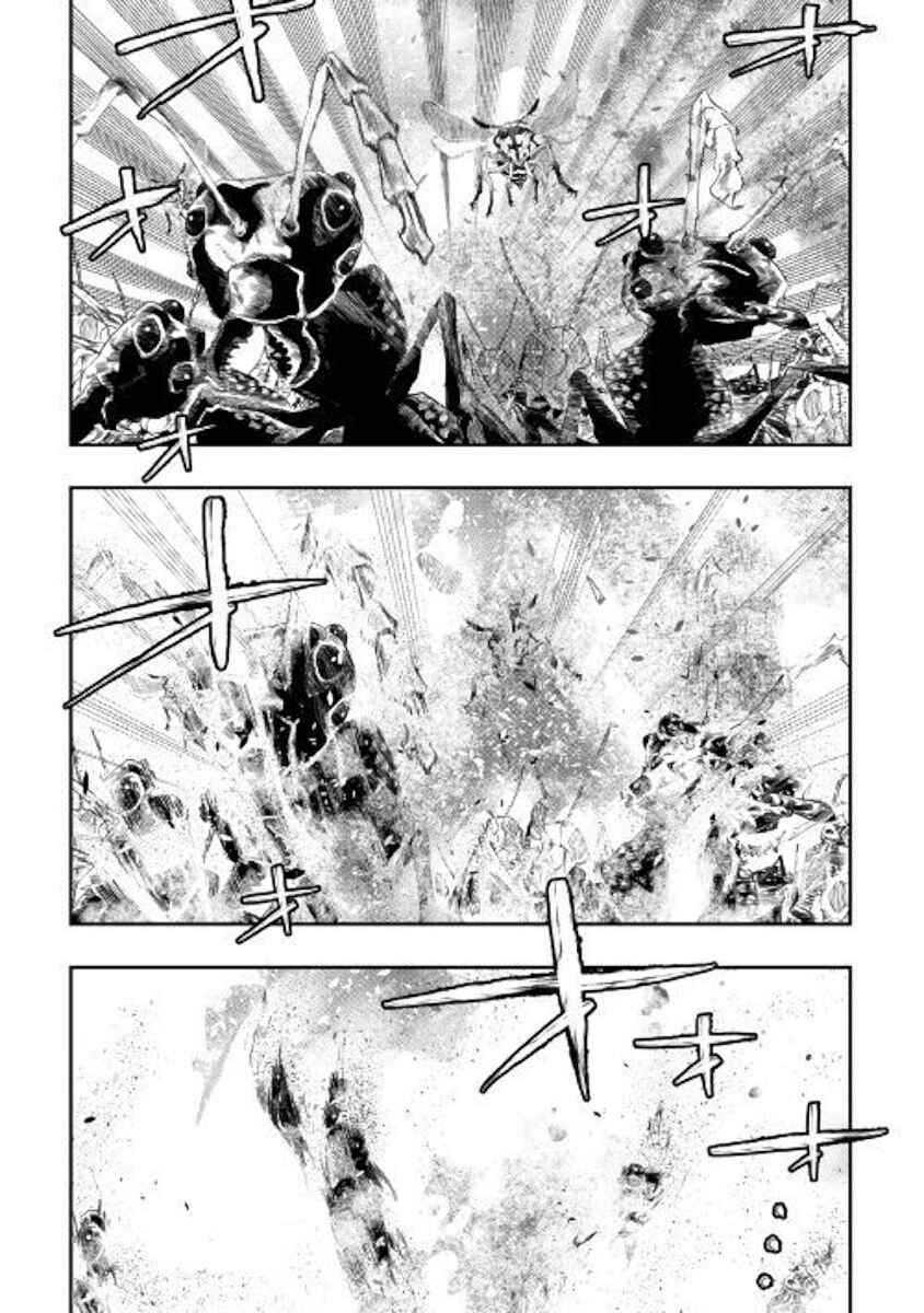 Page 13 Chapter 53 The New Gate