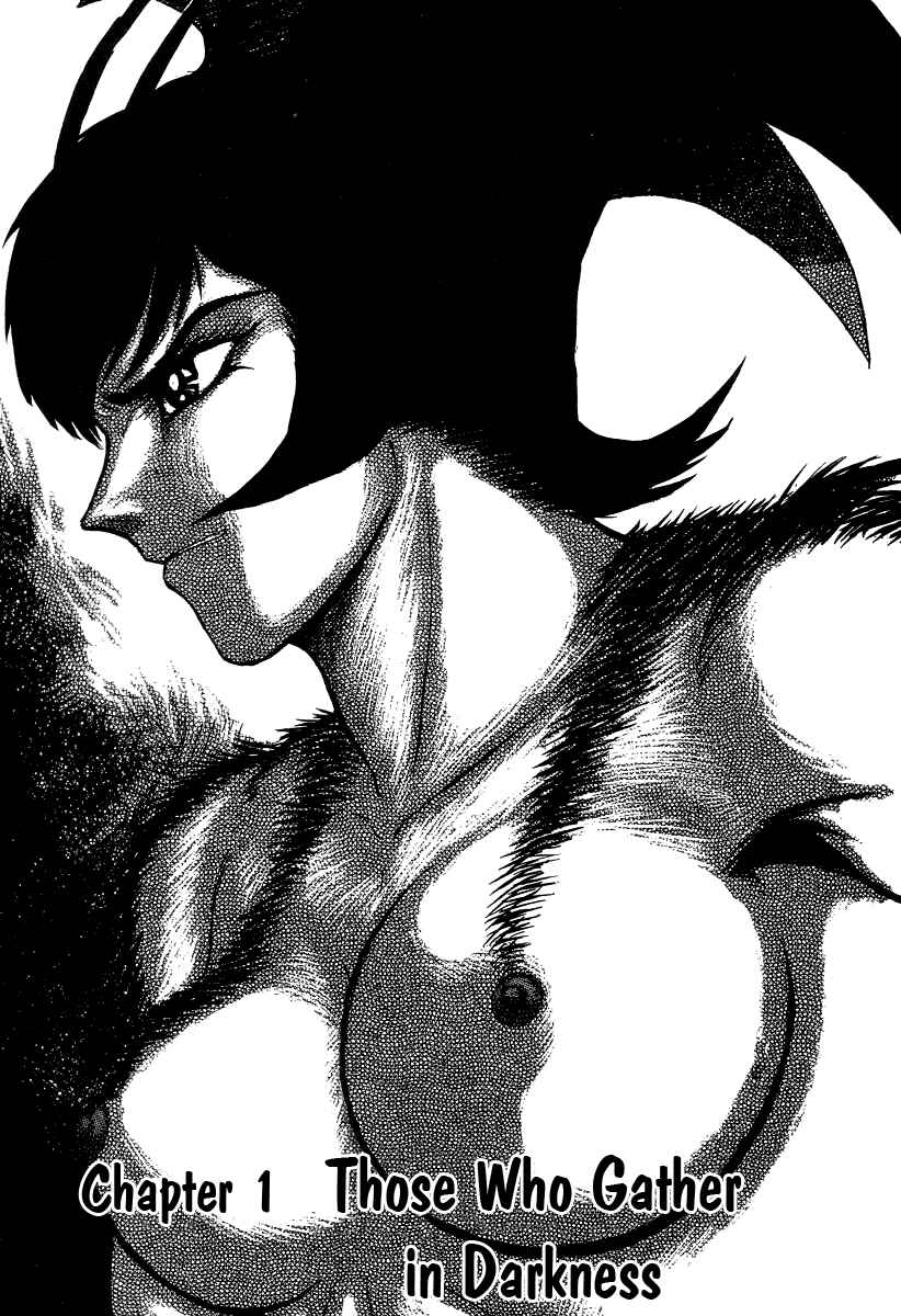 Page 13 Chapter 30 Devilman Lady