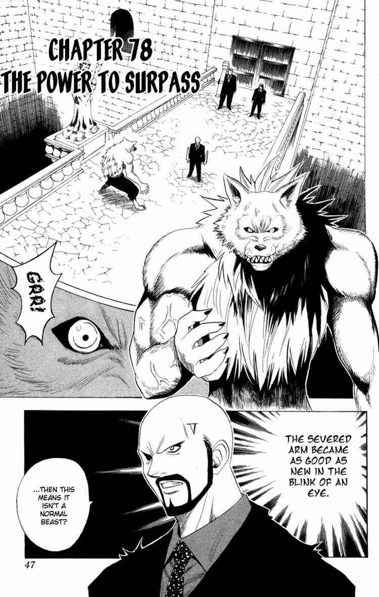 Page 1 Chapter 78 Black Cat