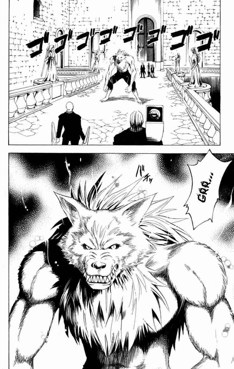 Page 7 Chapter 77 Black Cat