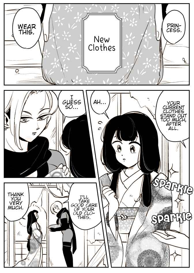 Page 2 Chapter 2 Ninja Woman and Princess