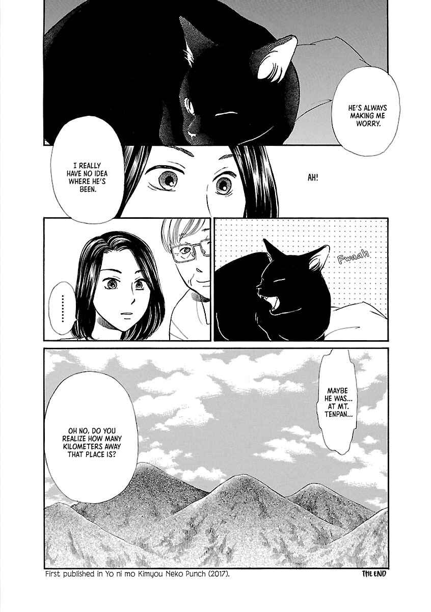 Page 16 Chapter Unknown_9e5a Mountain Cat