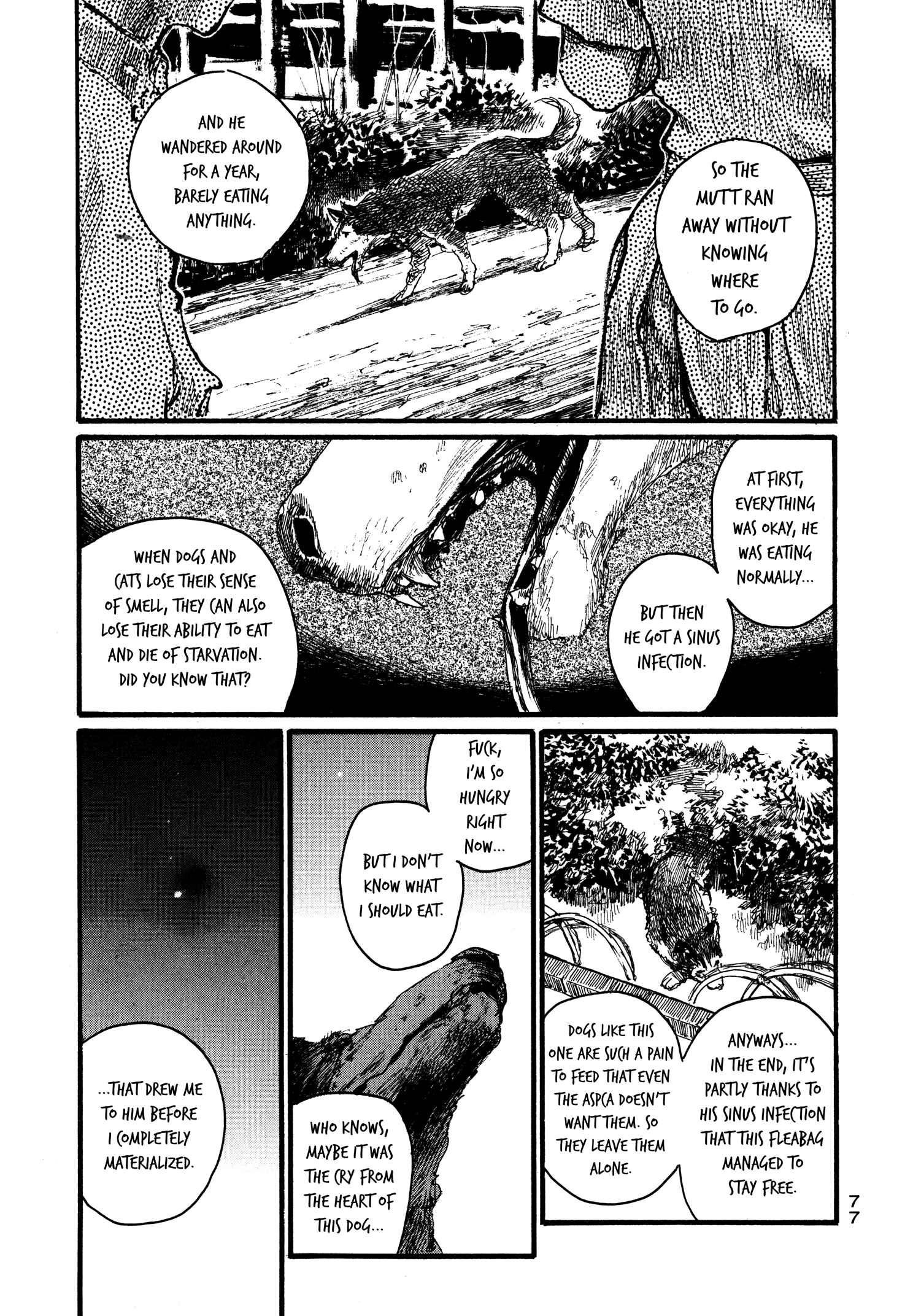 Page 21 Chapter 3 Halcyon Lunch