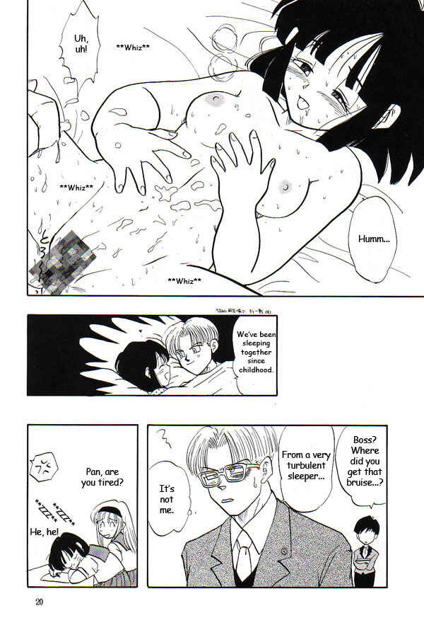 Page 19 Chapter Unknown_69f9 Dragon Ball GT - HoHeTo (Doujinshi)