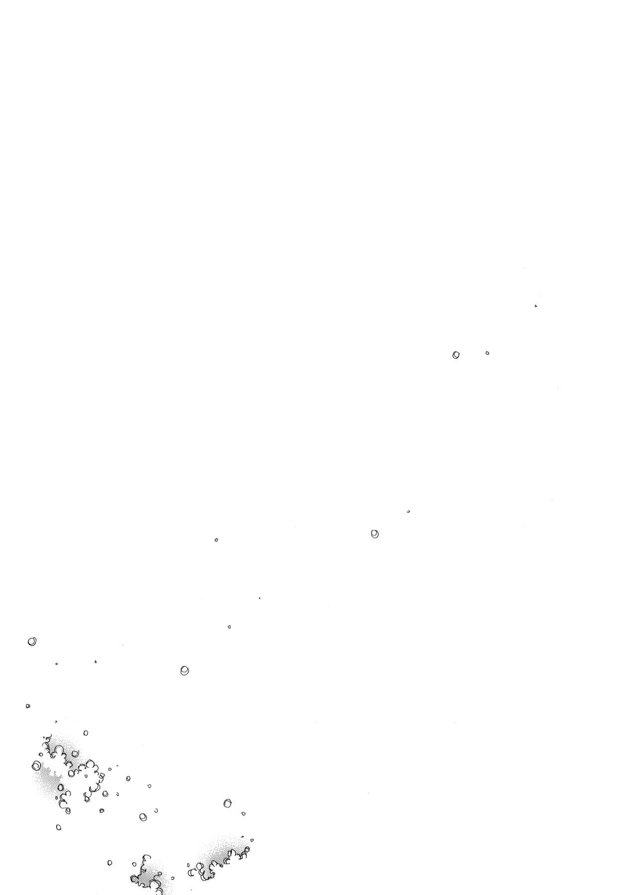 Page 35 Chapter 15 Blanc Project