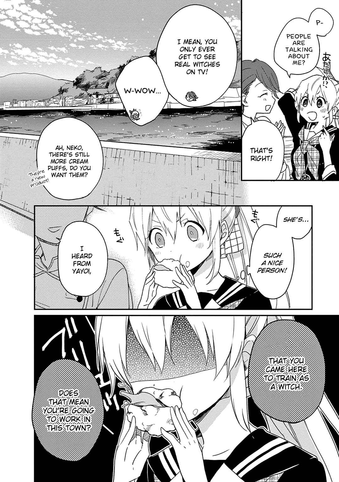Page 20 Chapter 4 The Modern Witchs Employment Prospects
