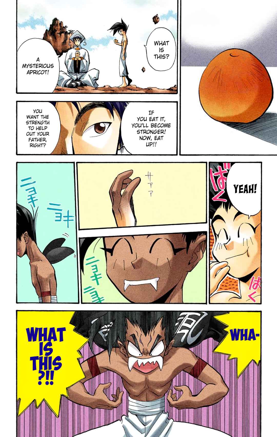 Page 18 Chapter 19 Hoshin Engi (Official Colored)
