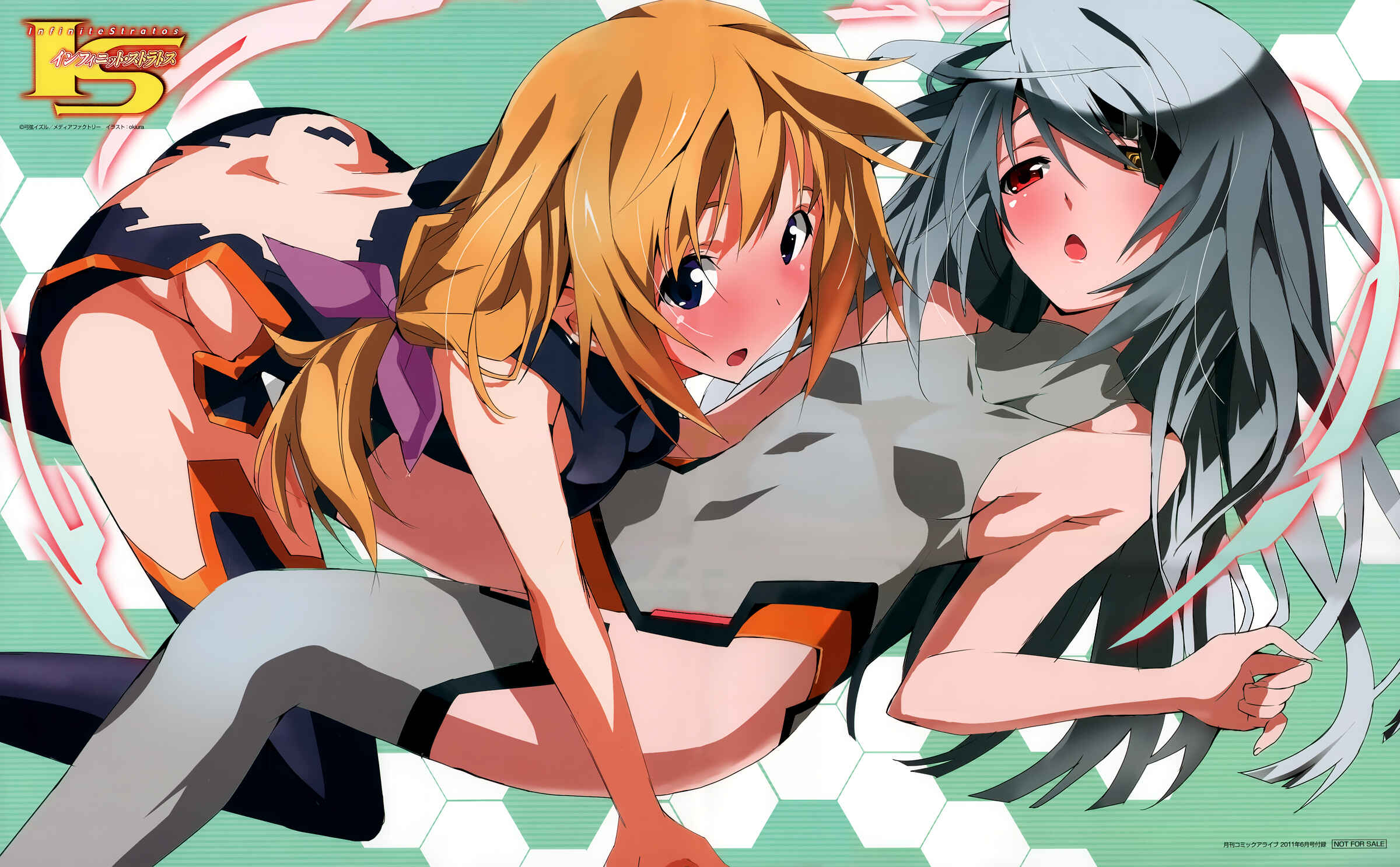 Page 31 Chapter 16 Infinite Stratos