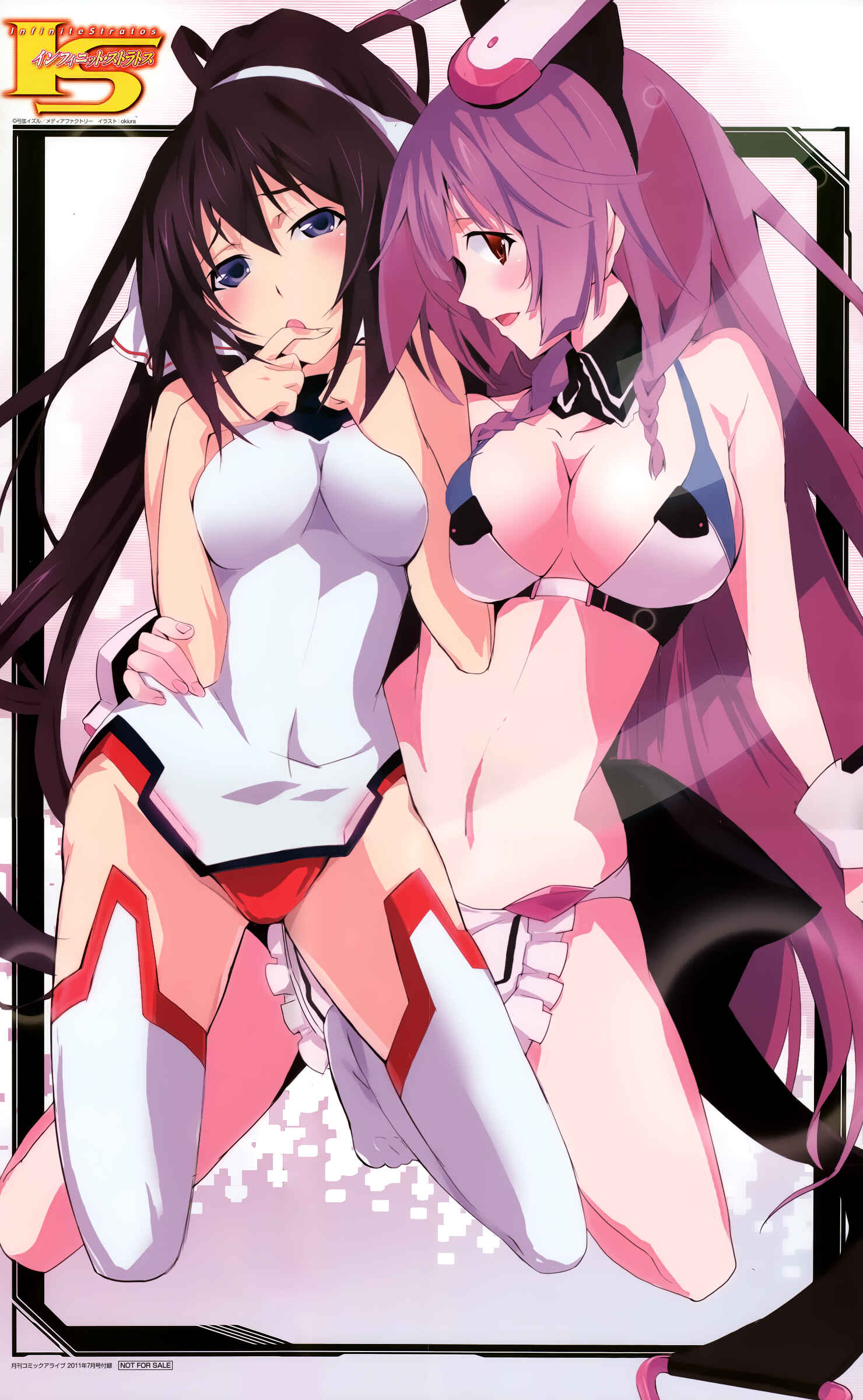 Page 24 Chapter 20 Infinite Stratos