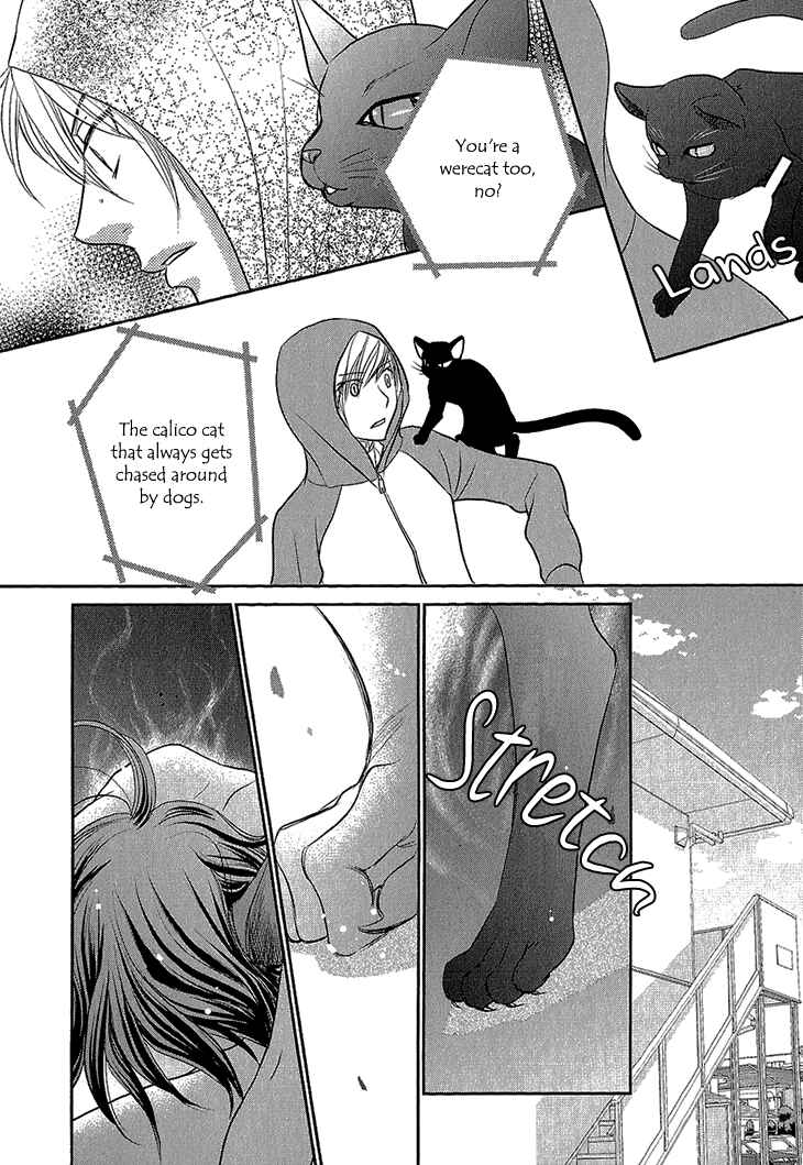 Page 21 Chapter 5 Nekoka Kareshi no Ayashikata