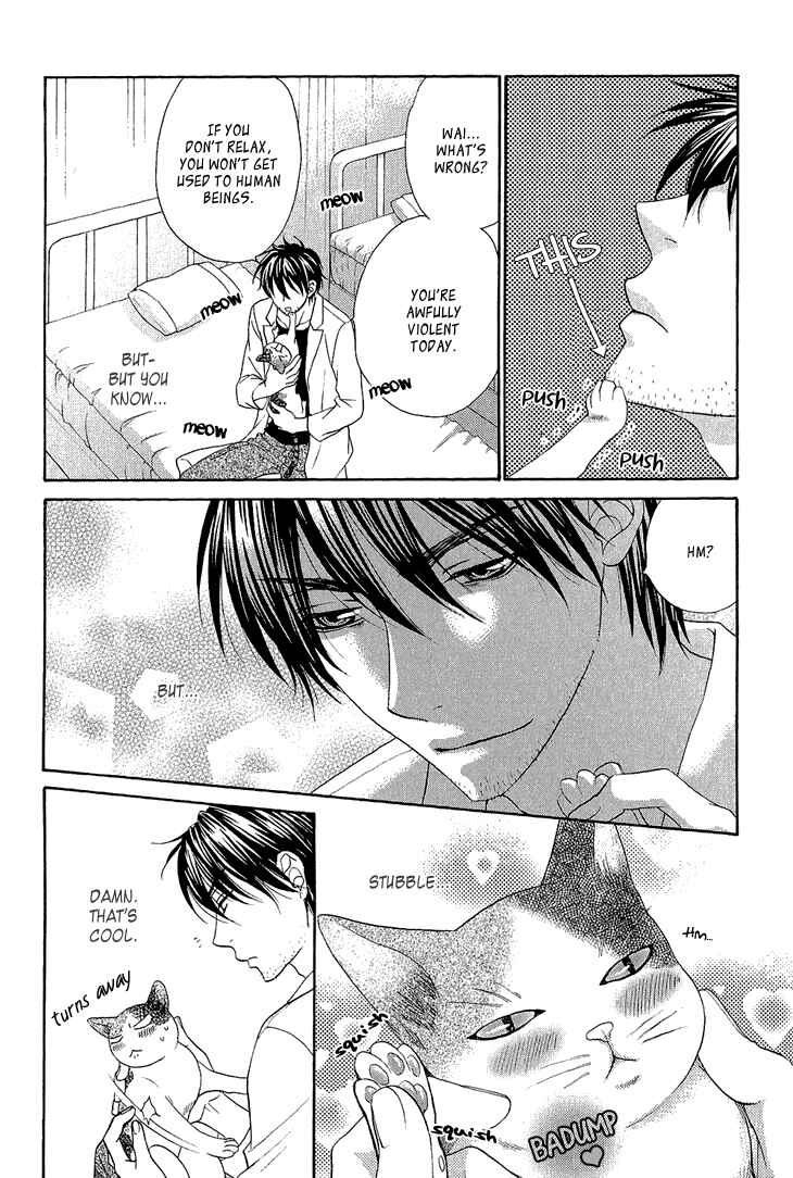 Page 3 Chapter 2 Nekoka Kareshi no Ayashikata
