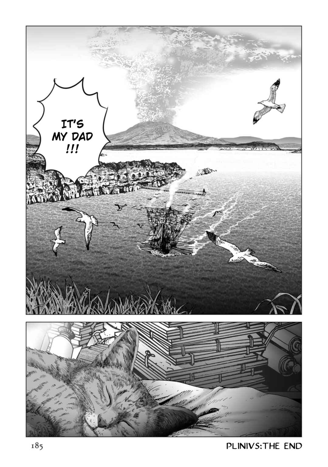 Page 25 Chapter 84 Plinivs