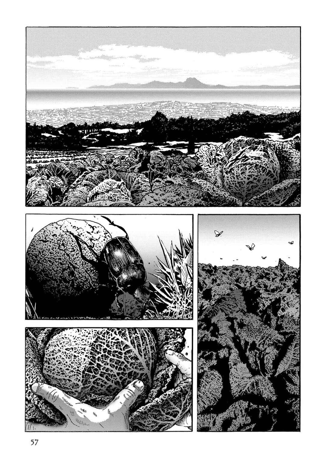 Page 3 Chapter 38 Plinivs