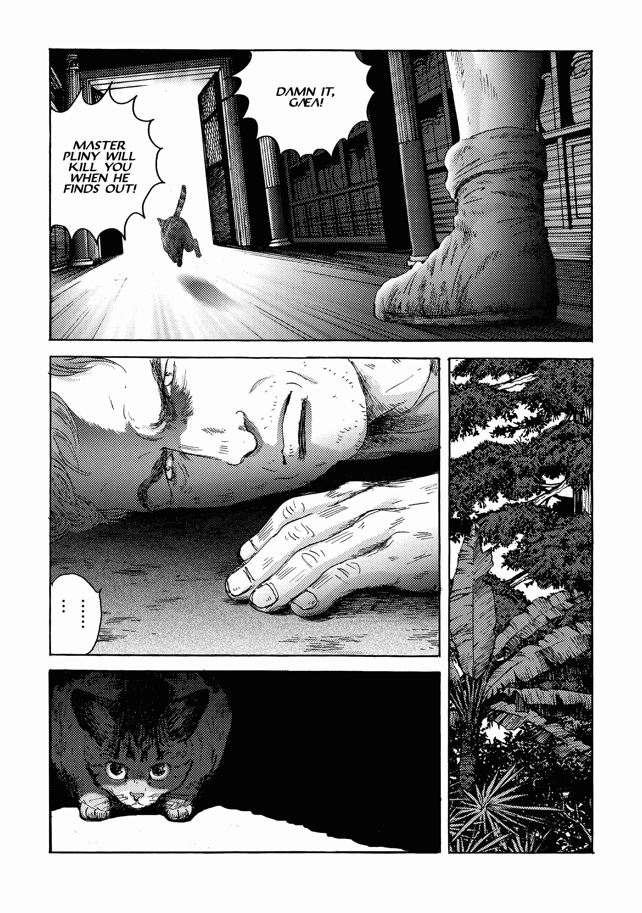 Page 17 Chapter 15 Plinivs