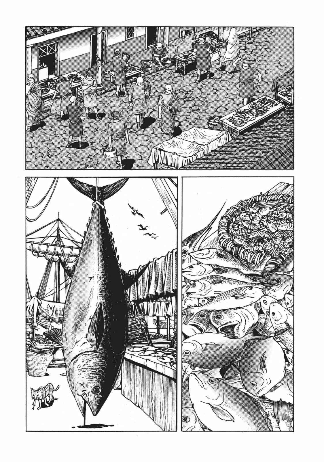 Page 4 Chapter 4 Plinivs