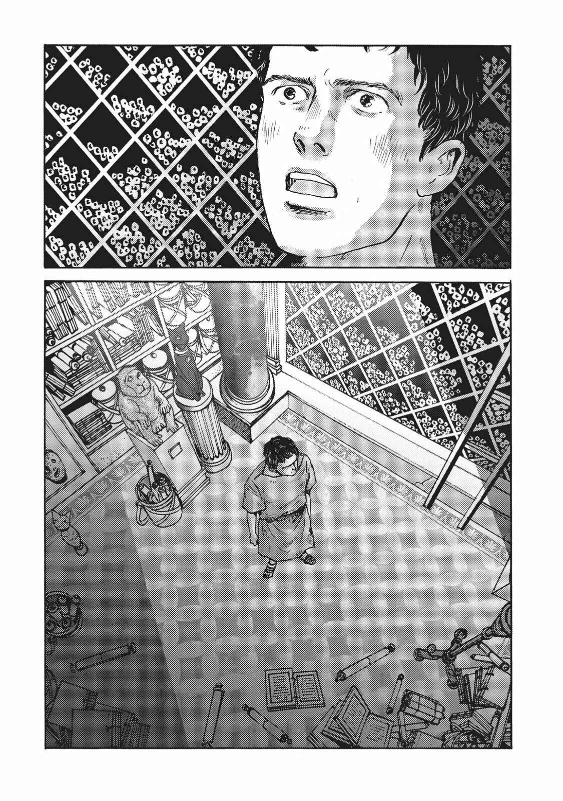 Page 11 Chapter 8 Plinivs