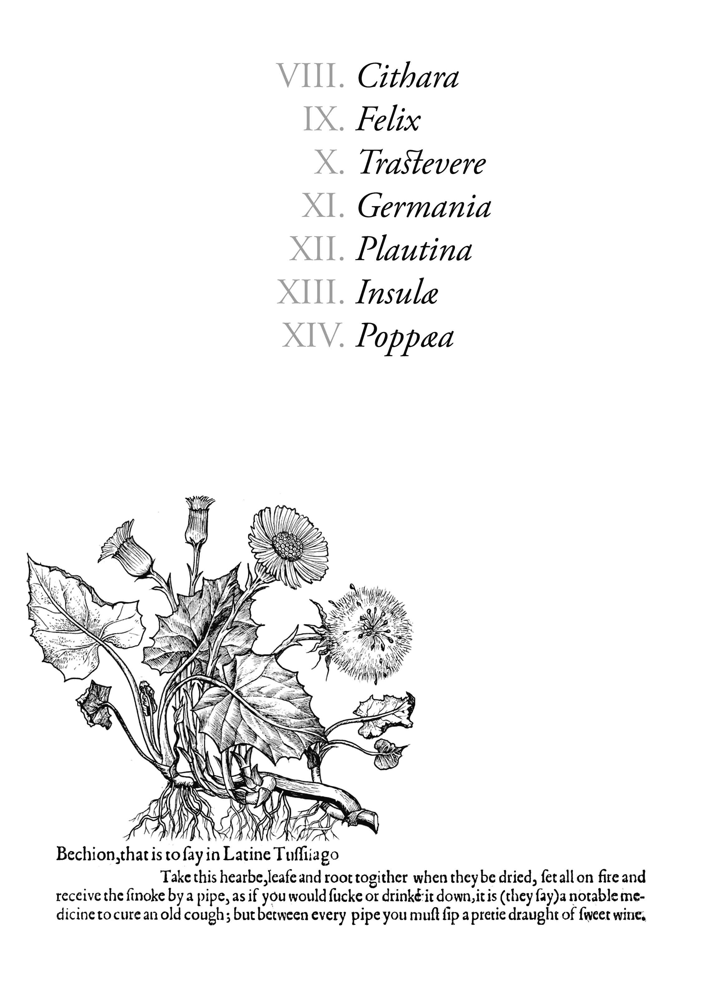 Page 3 Chapter 8 Plinivs