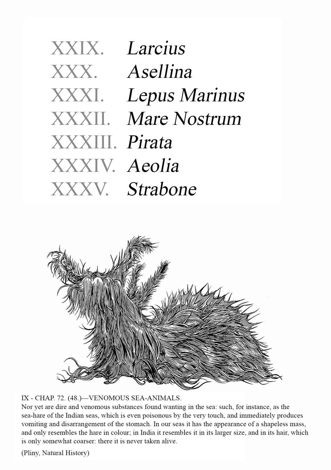 Page 5 Chapter 29 Plinivs
