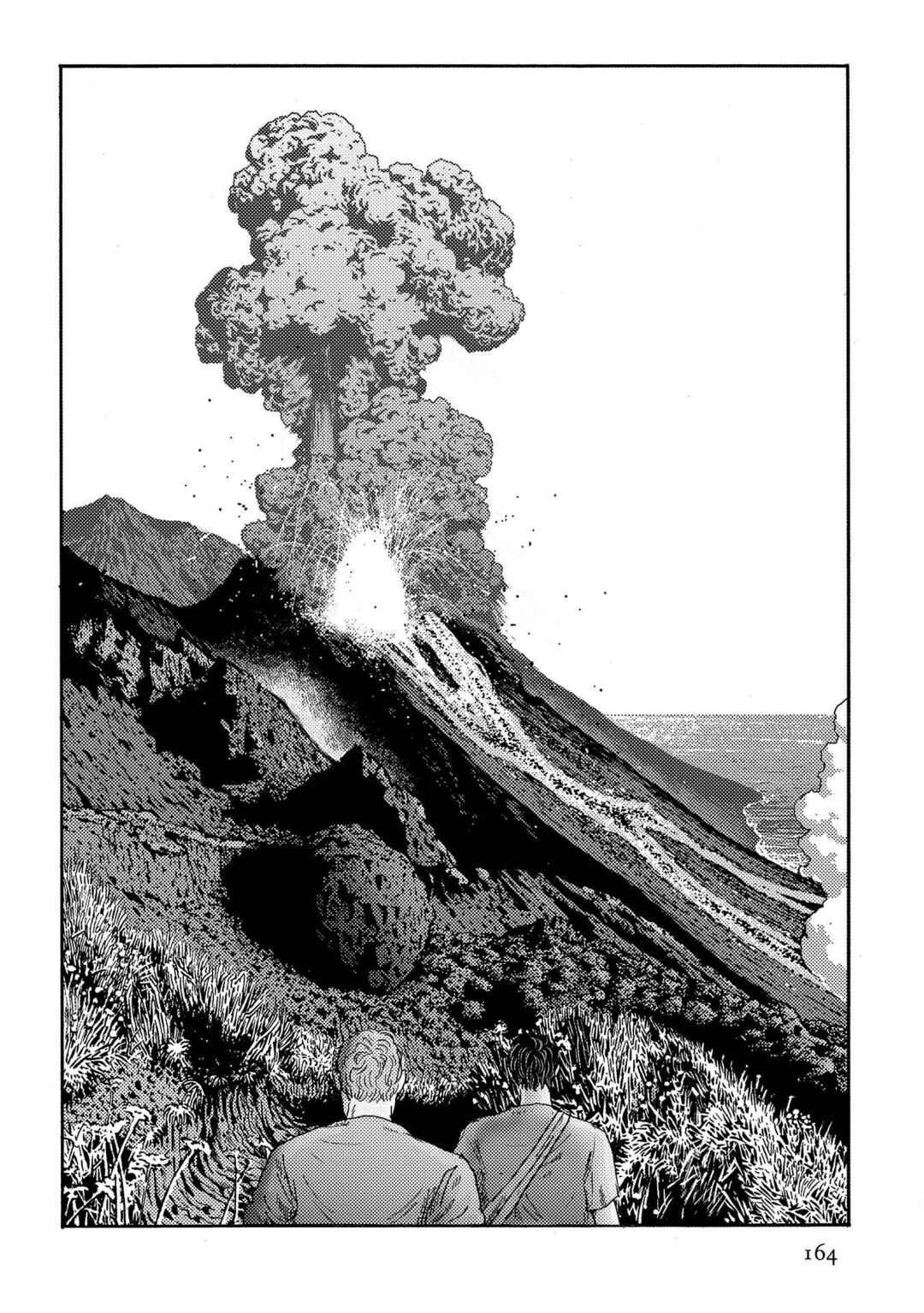 Page 4 Chapter 35 Plinivs