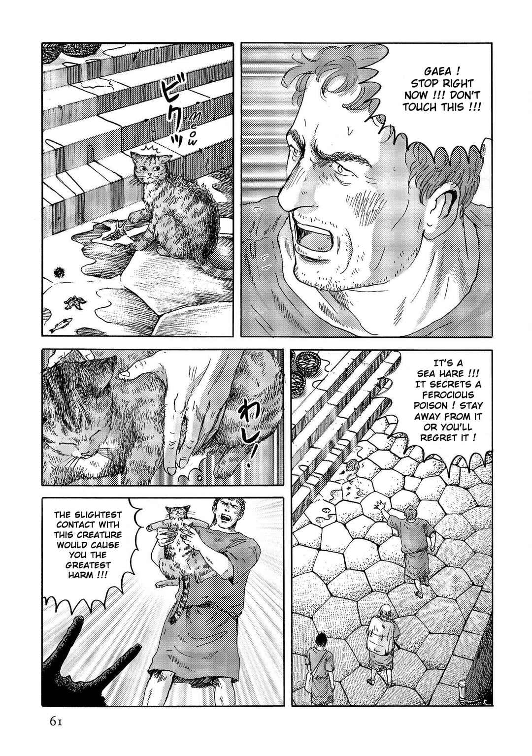 Page 7 Chapter 31 Plinivs