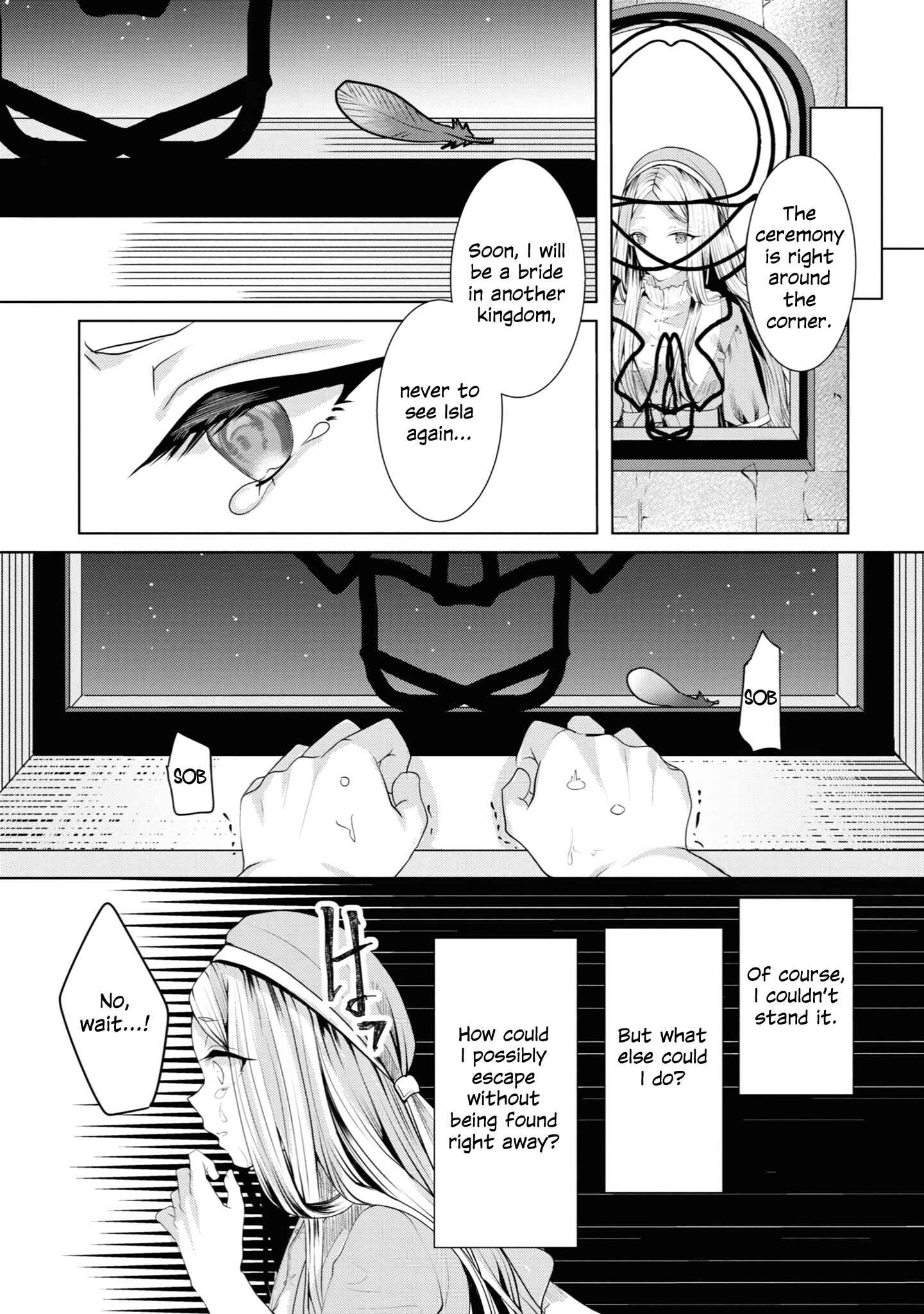 Page 17 Chapter 11 Koisuru Meiga