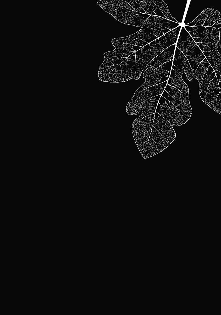 Page 23 Chapter 5 Noise