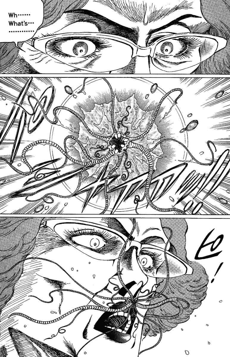 Page 17 Chapter 13 Bio-Meat: Nectar