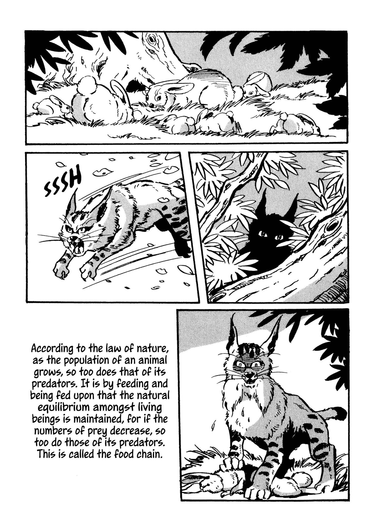 Page 77 Chapter 2 Akame