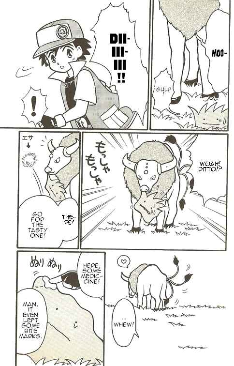Page 8 Chapter 5 Pokémon - The Complete Story