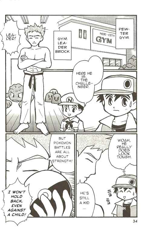 Page 17 Chapter 1 Pokémon - The Complete Story