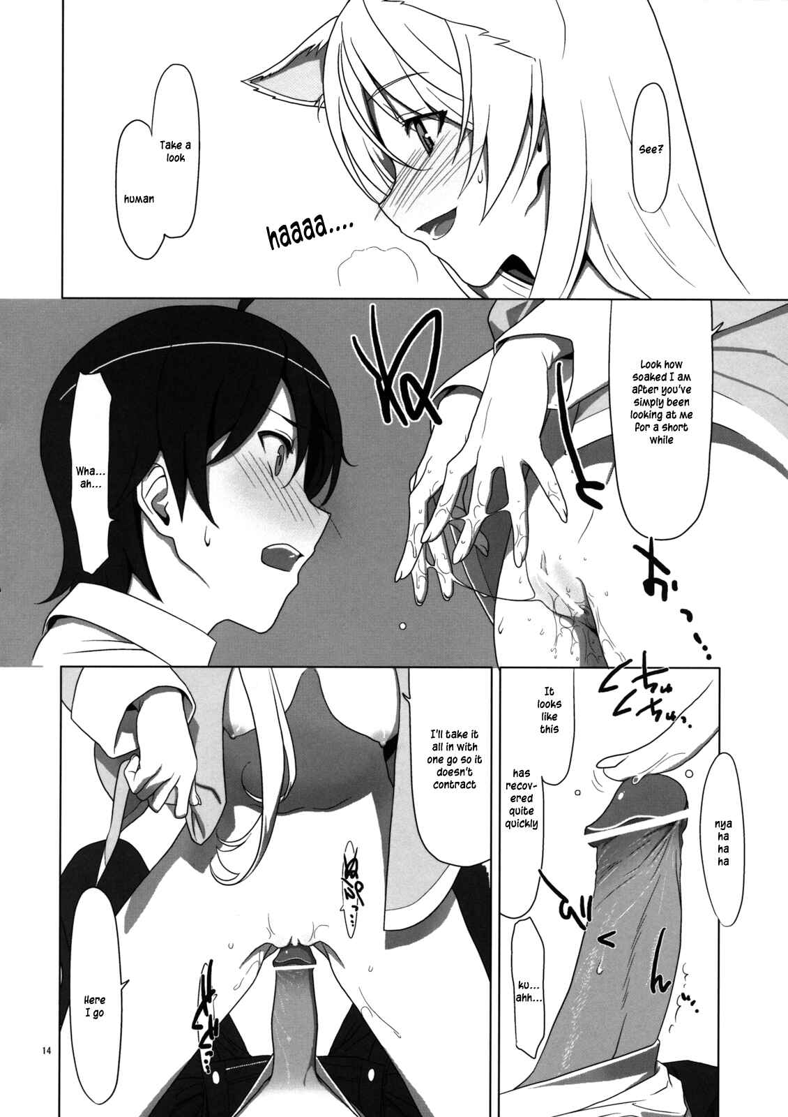 Page 13 Chapter Unknown_8410 Bakemonogatari - PLUNDER (Doujinshi)