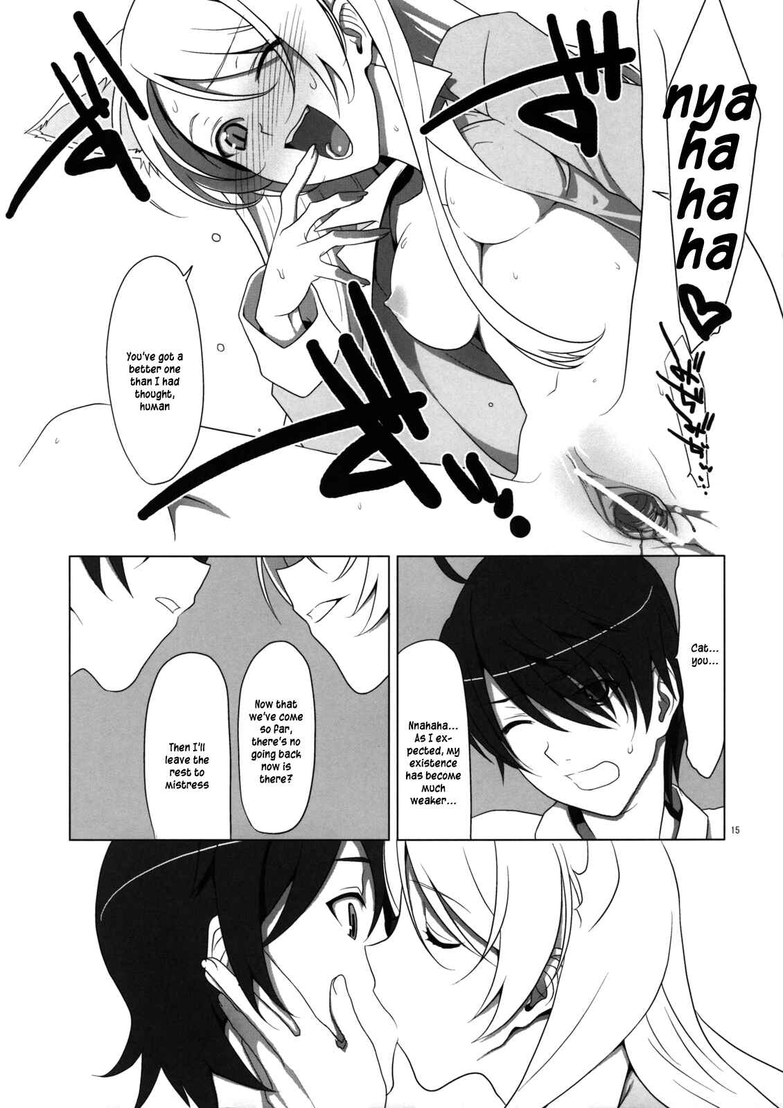Page 14 Chapter Unknown_8410 Bakemonogatari - PLUNDER (Doujinshi)