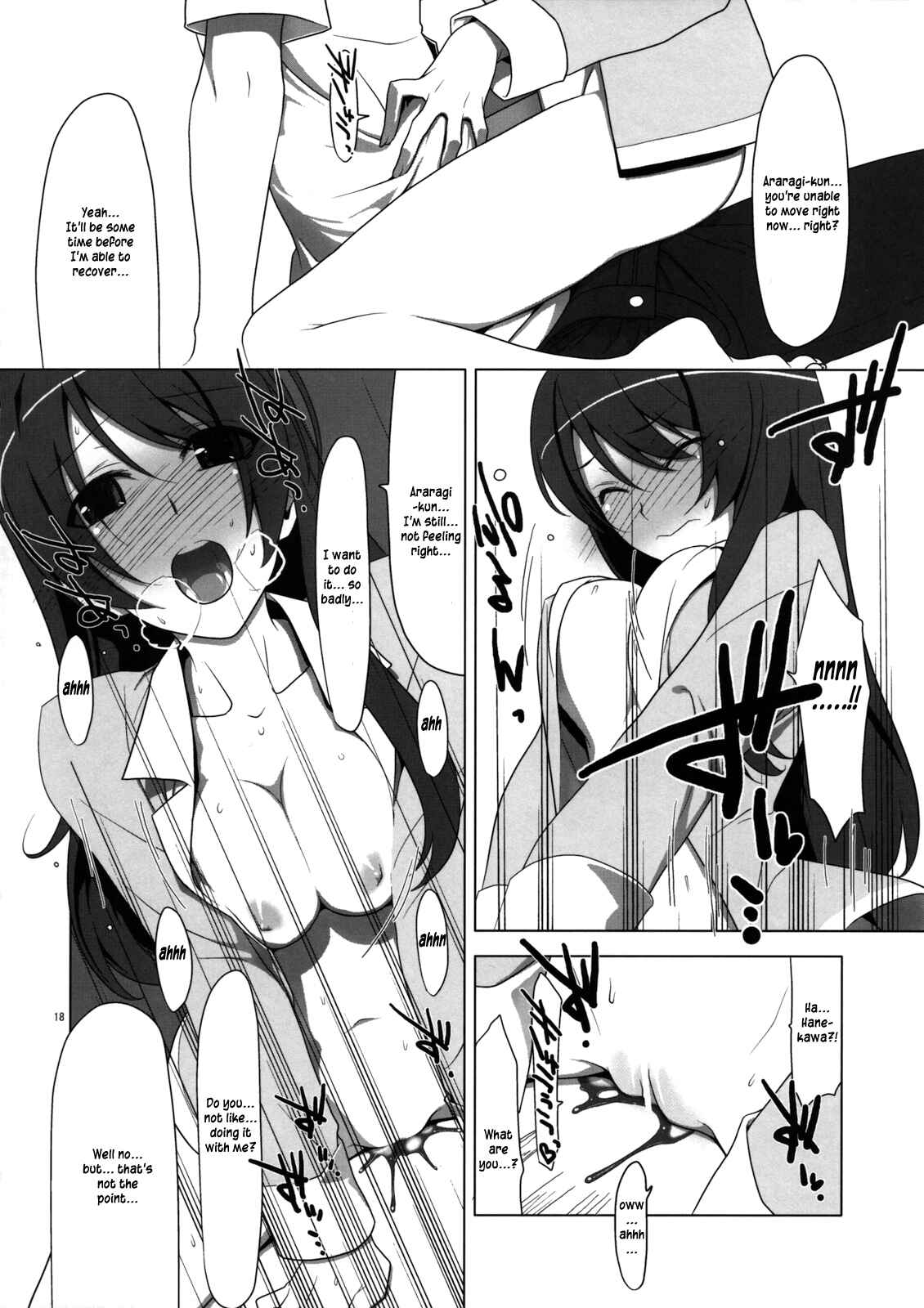 Page 17 Chapter Unknown_8410 Bakemonogatari - PLUNDER (Doujinshi)