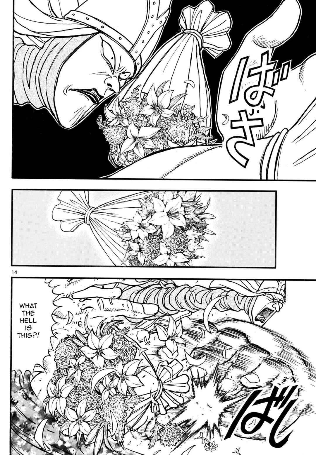 Page 13 Chapter 10 Silver Mountain