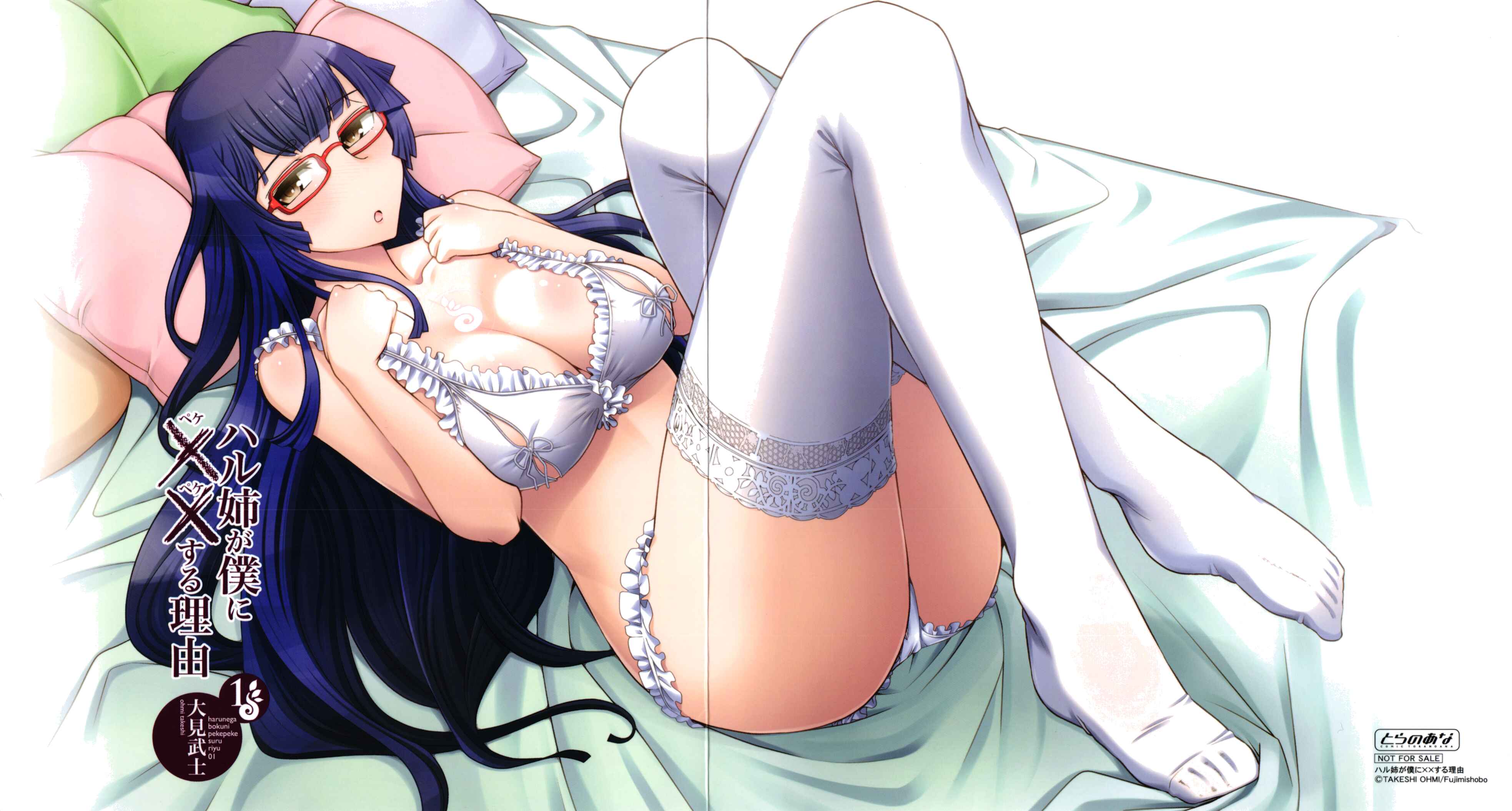 Page 29 Chapter 5 Haru-nee ga Boku ni XX Suru Riyuu