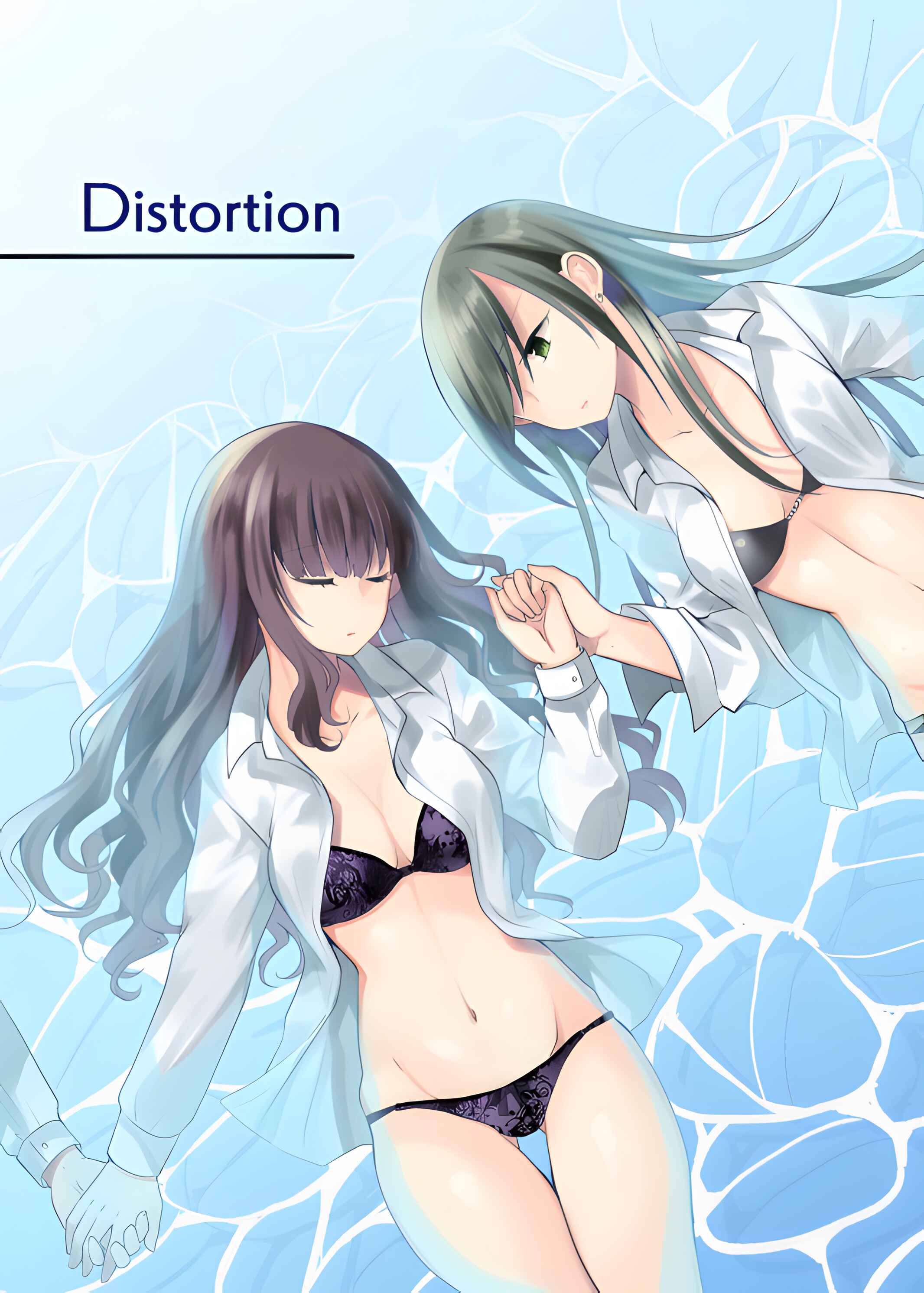 Page 1 Chapter 1 Distortion