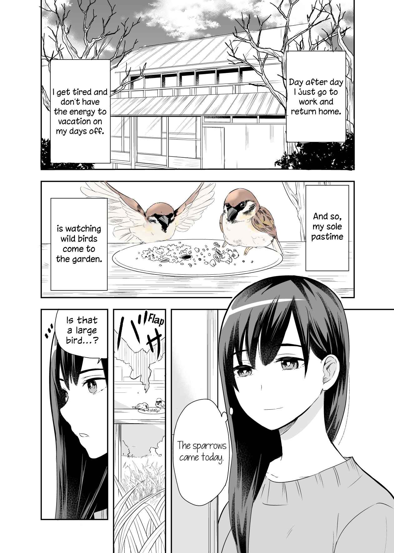 Page 1 Chapter 1 A Cute Bird Comes to an Office Lady Who Is Tired and Healed by Birdwatching