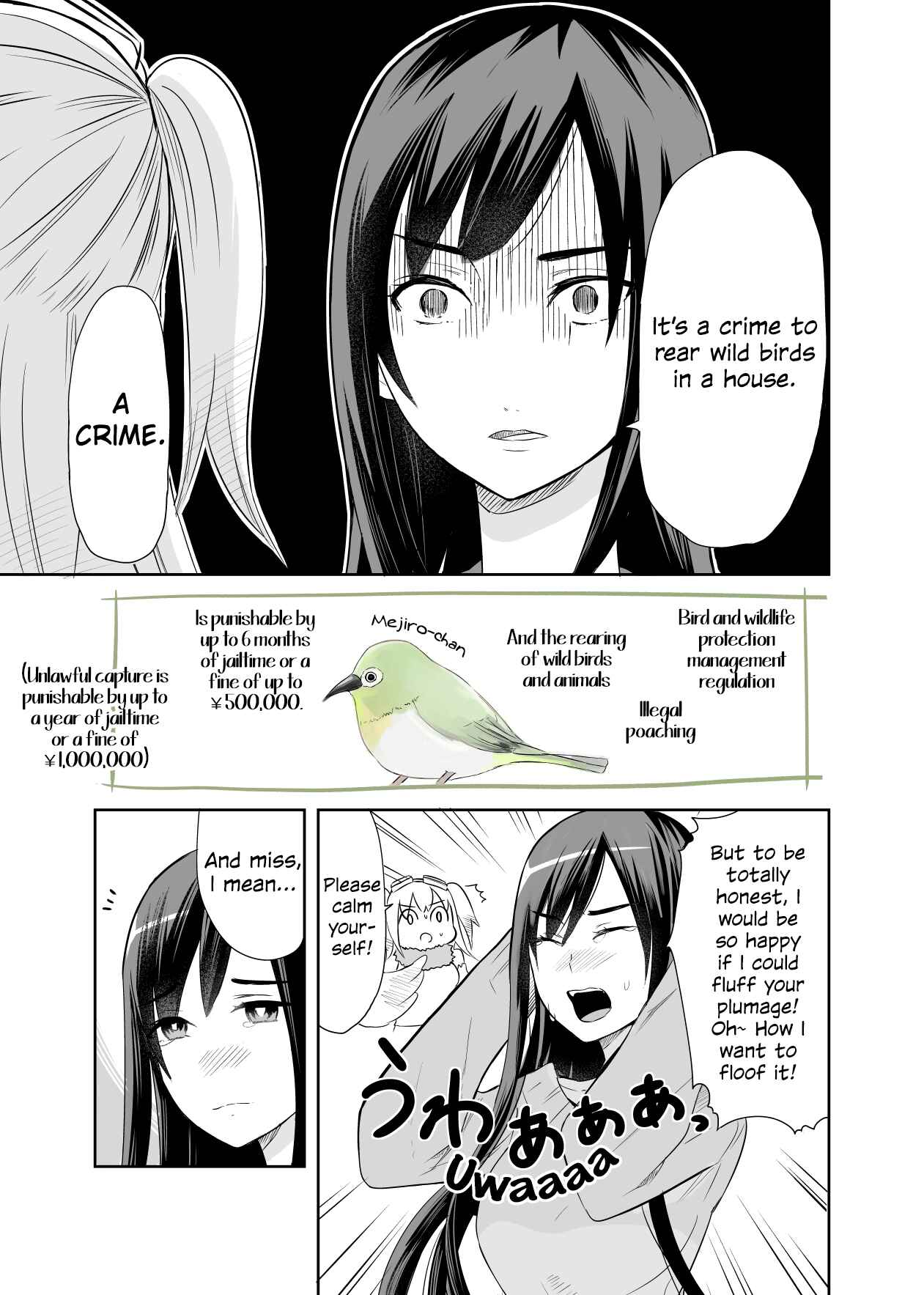 Page 3 Chapter 1 A Cute Bird Comes to an Office Lady Who Is Tired and Healed by Birdwatching