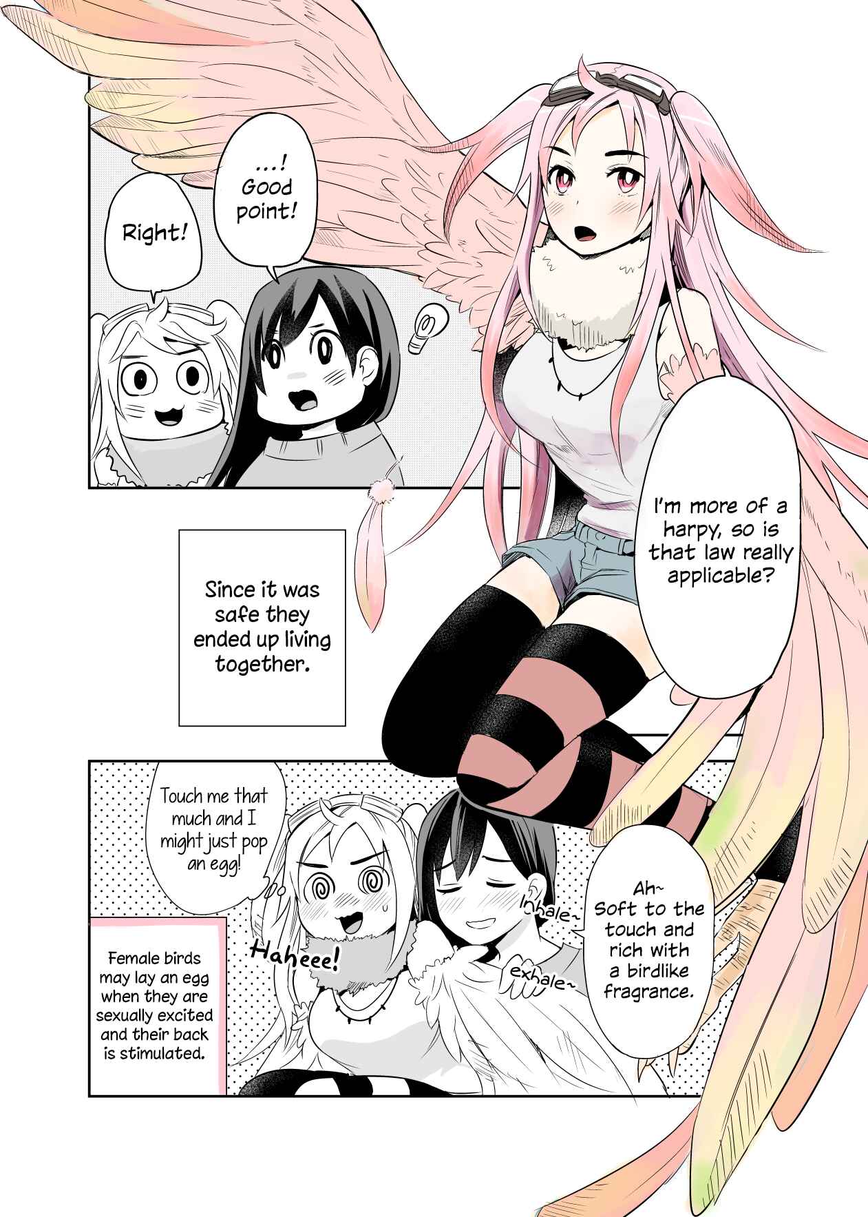Page 4 Chapter 1 A Cute Bird Comes to an Office Lady Who Is Tired and Healed by Birdwatching