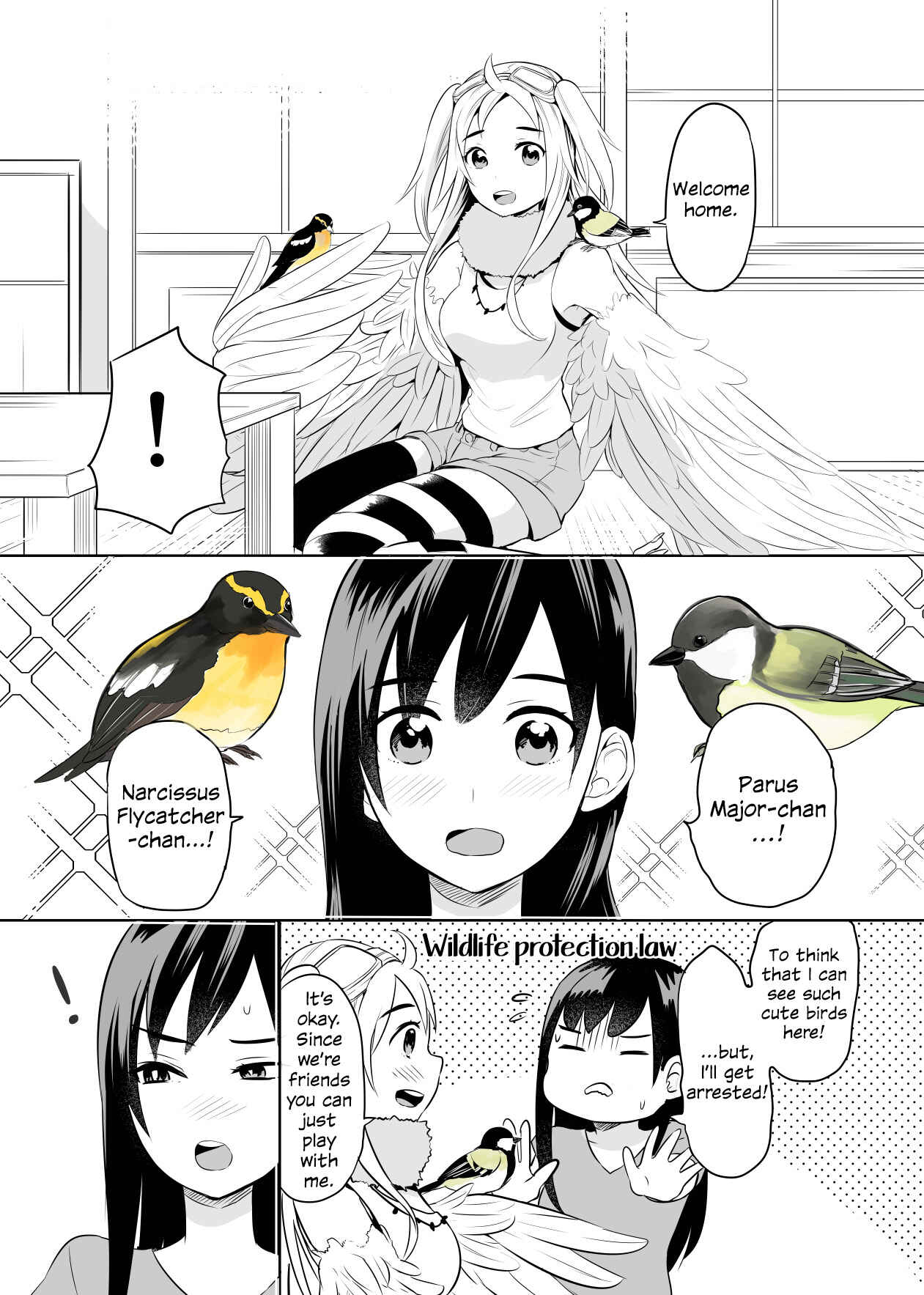 Page 2 Chapter 2 A Cute Bird Comes to an Office Lady Who Is Tired and Healed by Birdwatching