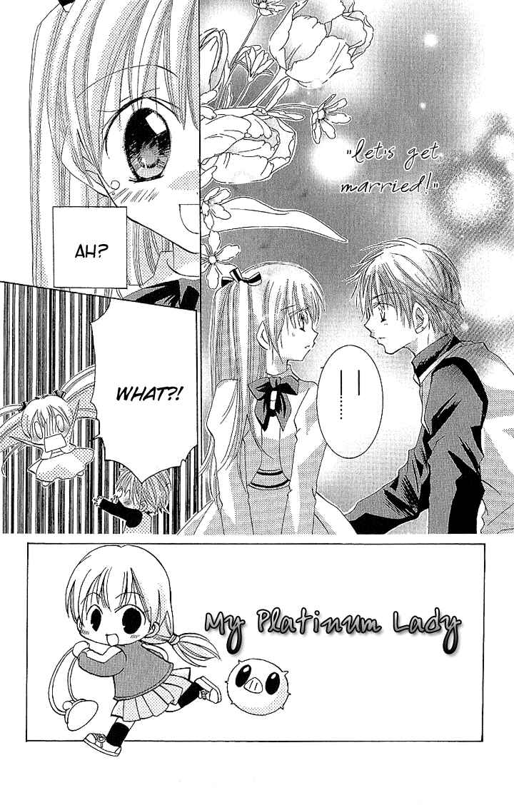 Page 2 Chapter 2 My Platinum Lady