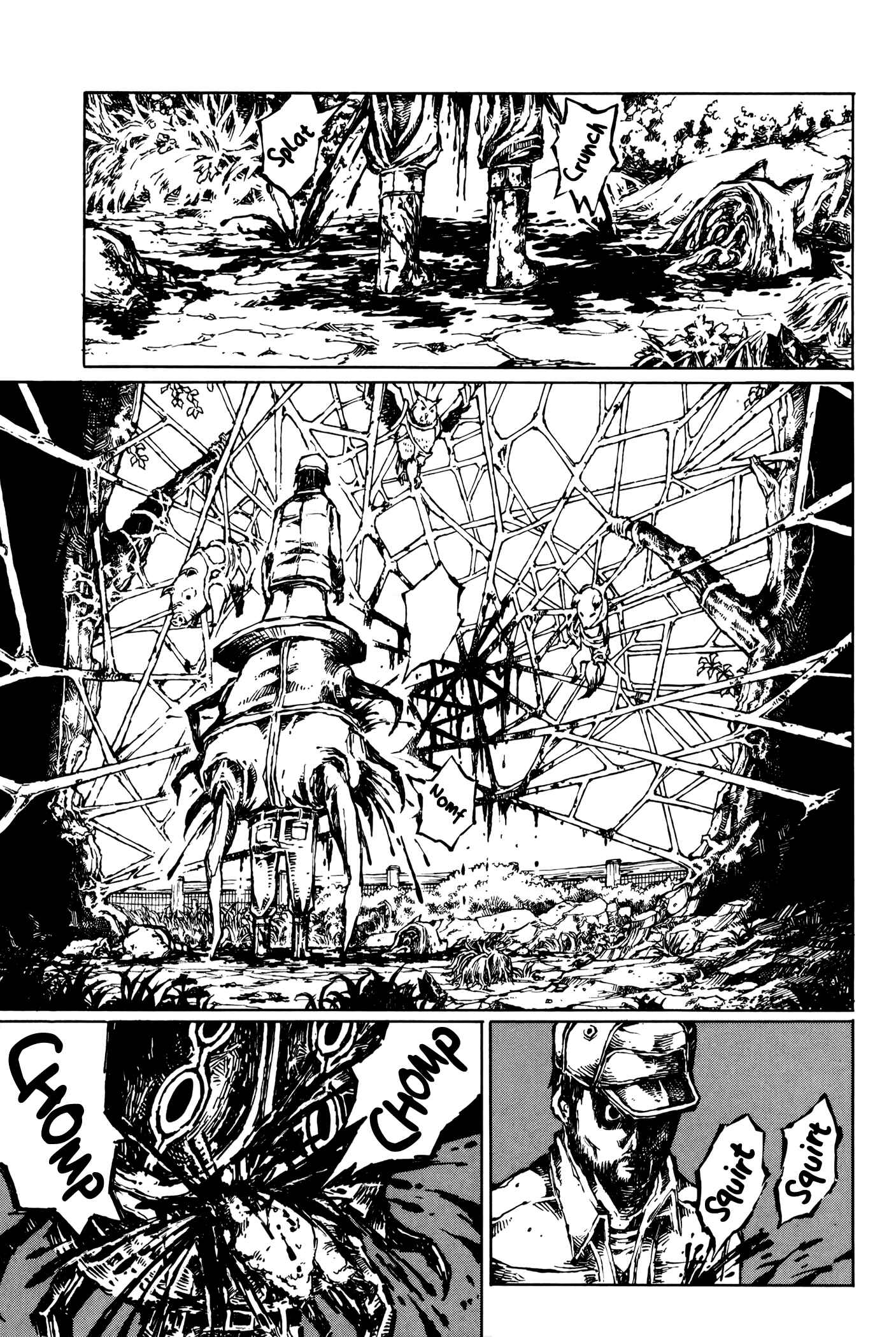 Page 23 Chapter 3 Vanilla Spider