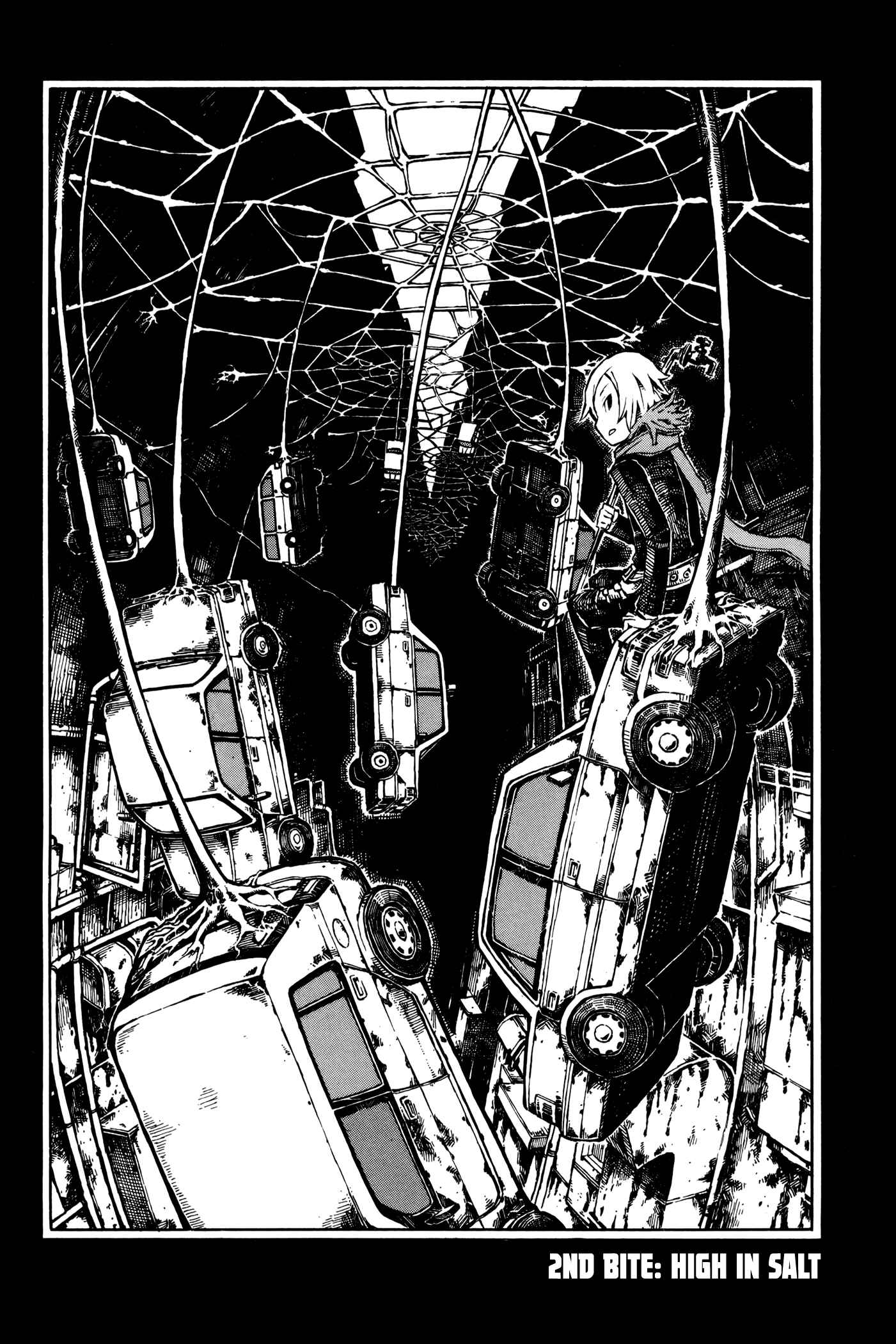 Page 2 Chapter 2 Vanilla Spider
