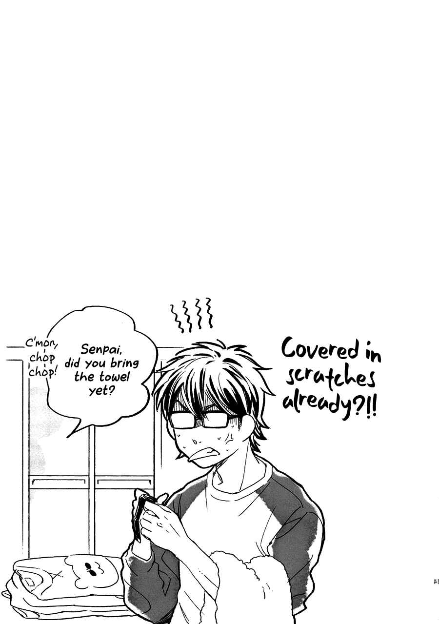 Page 14 Chapter Unknown_aba0 Ace of Diamond - Misawa Short Short Story ● Top of the First Inning (Doujinshi)