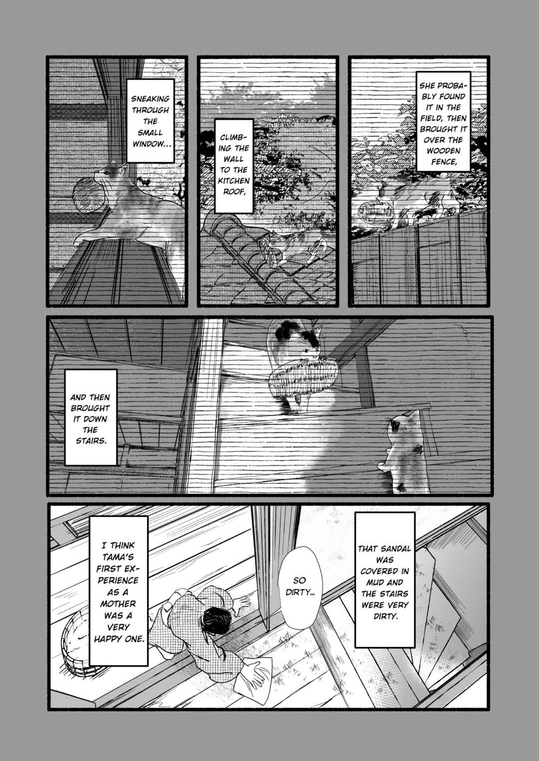 Page 5 Chapter 2 Black Cat Jiumin