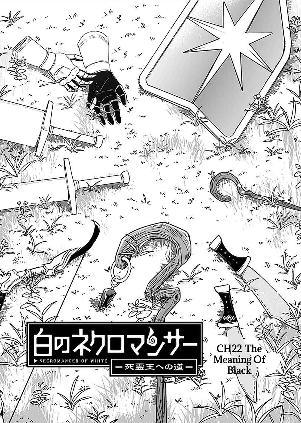 Page 2 Chapter 22 Shiro no Necromancer ~Shiryou Ou e no Michi~