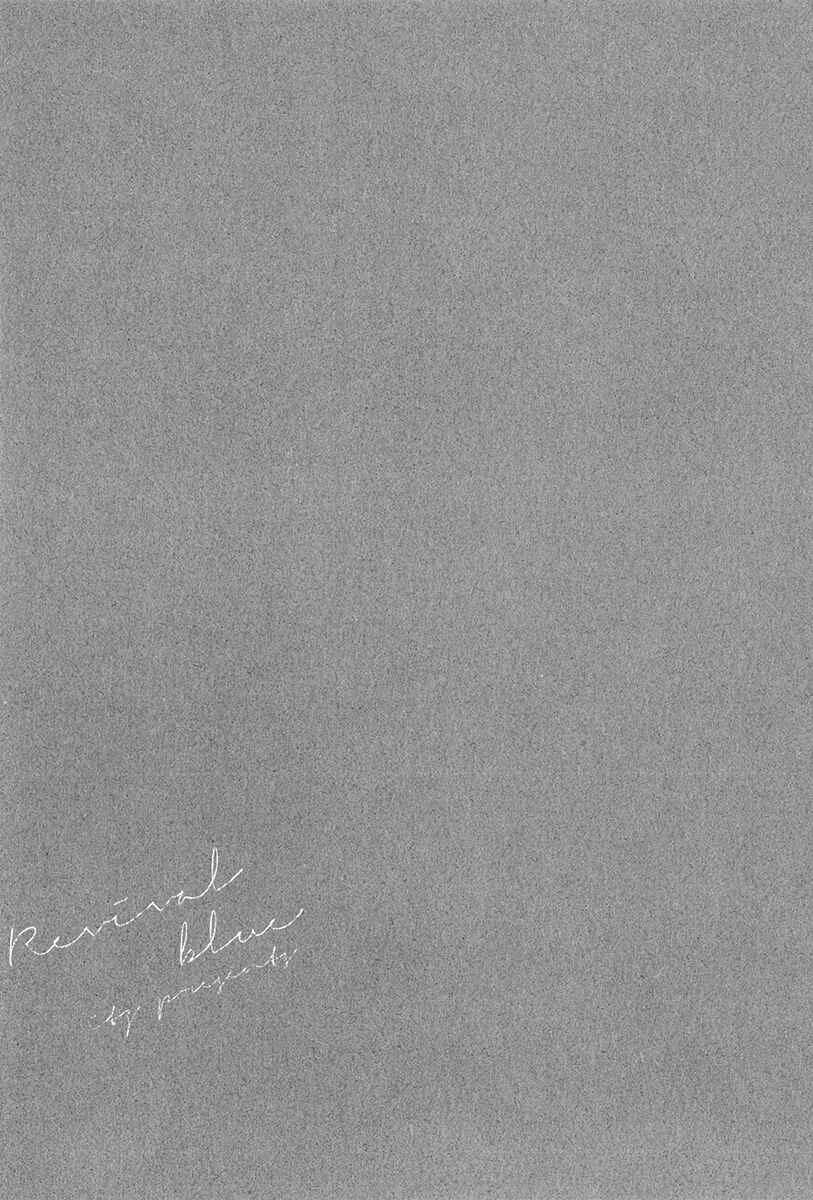 Page 29 Chapter 11 Revival Blue